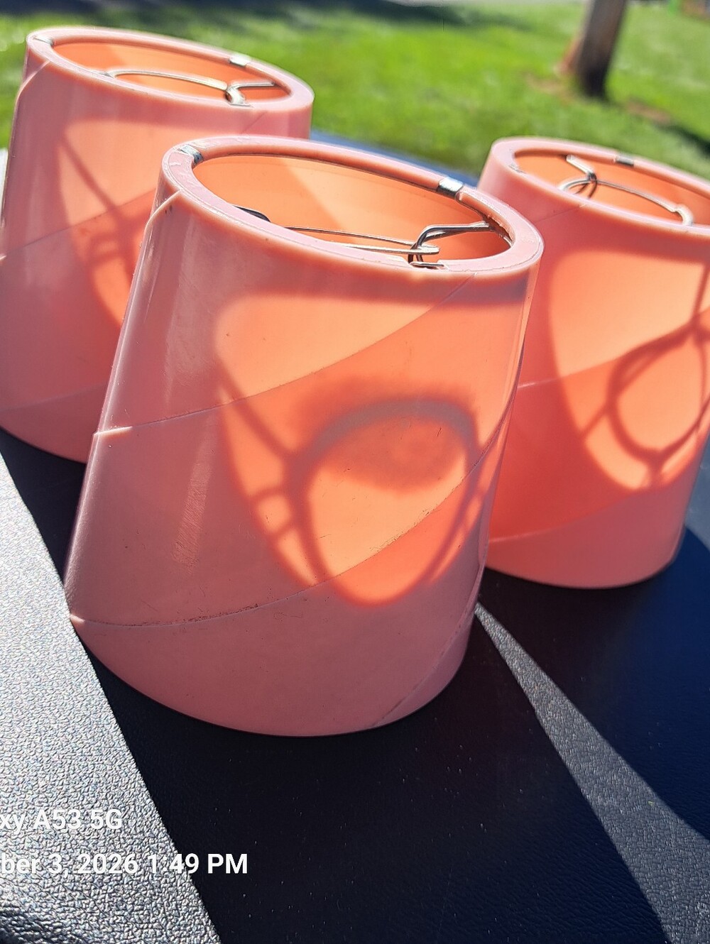 Pink Salmon Lampshades